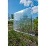 Alagútívek paradicsomokhoz