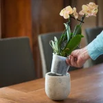 Cserép átlátszó  átm. 13cm