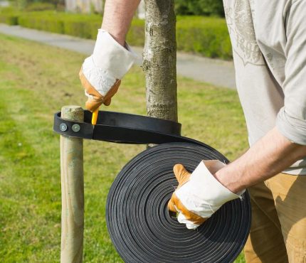 Fatörzs rögzítő 15mx3