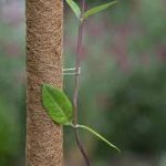 Fémkapcsok kókuszkaróhoz (10 db)