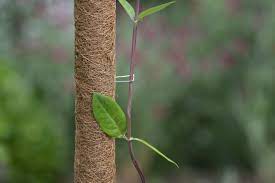 Fémkapcsok kókuszkaróhoz (10 db)