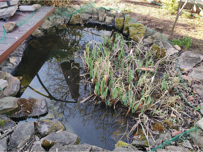 30 éves tó előtte