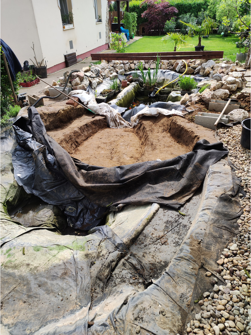 Dzsungel tó átalakítás