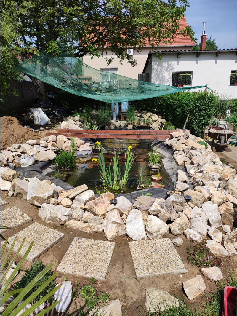 Dzsungel tó tisztítás