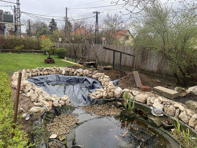 Dzsungel tó tisztítás