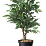 Konténer fekete 4l H17x Ø21cm szett 3db-os