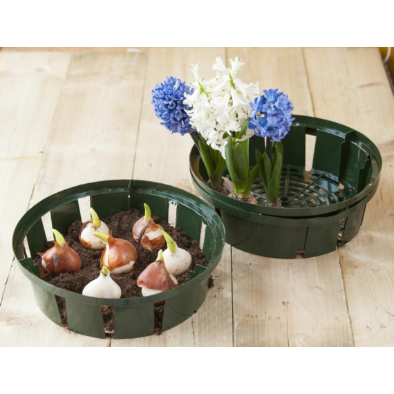 Kosar_viraghagymakhoz_32cm_3dbcsomag Kosár virághagymákhoz 32cm