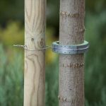 Lágy fatörzsrögzítő 30 cm