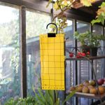 Légyfogó papír5db-os