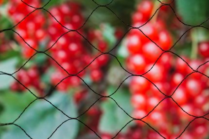 Madárháló fekete28x28mm