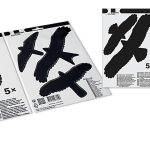 Madárriasztó matrica ablakra 5dbxcsomag