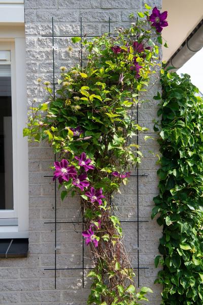 Metal futtató zöld műanyag bevonat 145x57cm