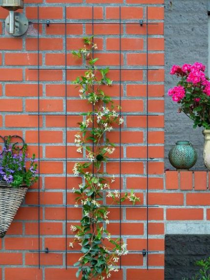 Metal futtató zöld műanyag bevonat 145x72