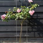 Metal futtató zöld műanyag bevonat 45x150cm