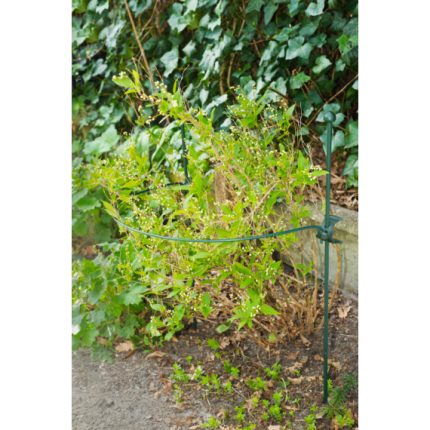 Műanyag növénytámasz