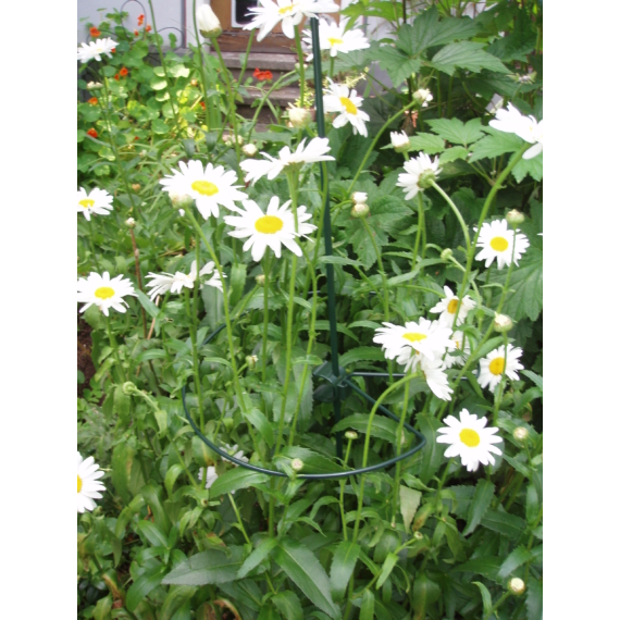 Muanyag_novenytamasz_kerek_40cm Műanyag növénytámasz