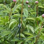 Műanyag növénytámasz