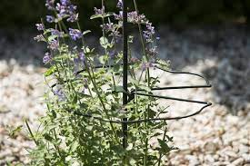 Műanyag növénytámasz