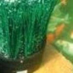 Oase OxyTex CWS 1000 tólevegőztető