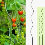 Paradicsom futtató galvanizált