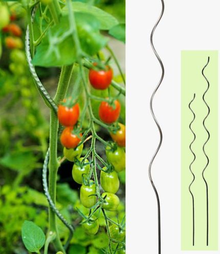 Paradicsom futtató galvanizált