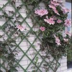 Színezett fa futtatórács