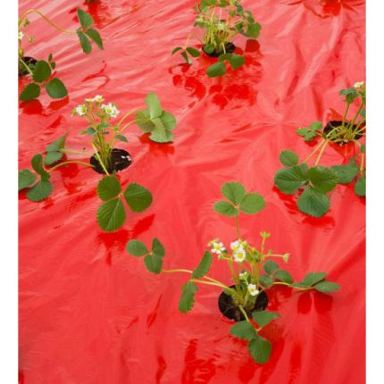 Takarófólia EPERHEZ   piros