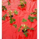 Takarófólia EPERHEZ  piros