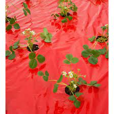 Takarófólia EPERHEZ  piros