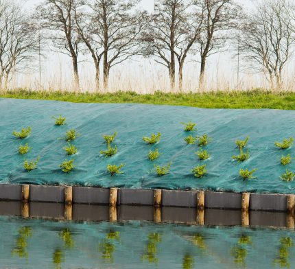 Talajtakaró zöld 2mx5m 90g per m2