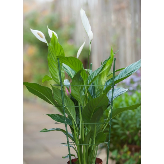 Viragtamasz Virágtámasz