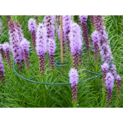 Virágtartó gyűrű 30 cm 3 db