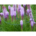 Virágtartó gyűrű vario 3 db