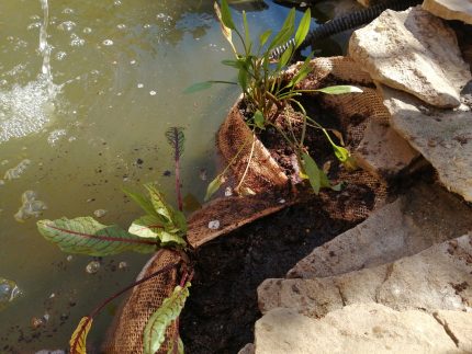 Zsebes ültetőzsák 2 zsebes