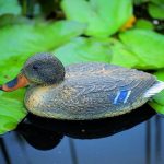 Állatfigura nőstény vadkacsa