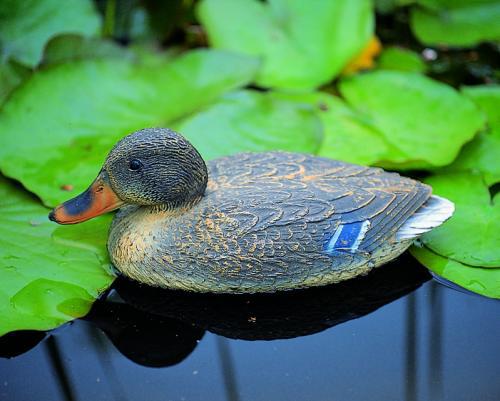 allatfigura_nosteny_vadkacsa_40_cm Állatfigura nőstény vadkacsa