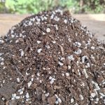 Halkaland földkeverék szobai és irodai növények részére 5l