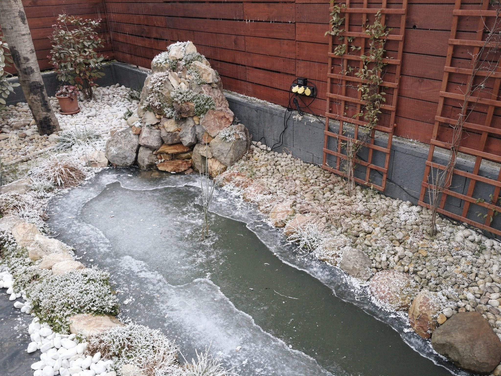 Kristálytiszta kerti tó téli környezetben - FloraNova
